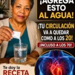Mineral Esencial Para Mejorar La Circulación En Adultos Mayores