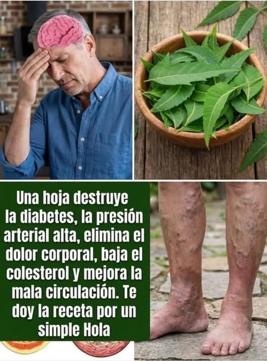 Hoja de Nim