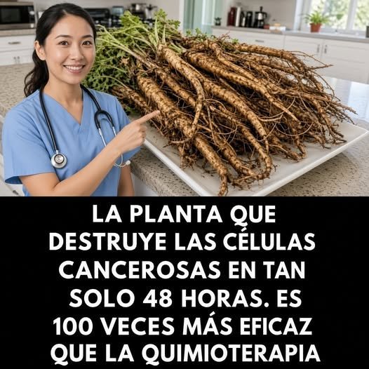 Raíz de Diente de León