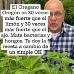 Orégano Oregón el Poderoso Remedio Natural para la Salud