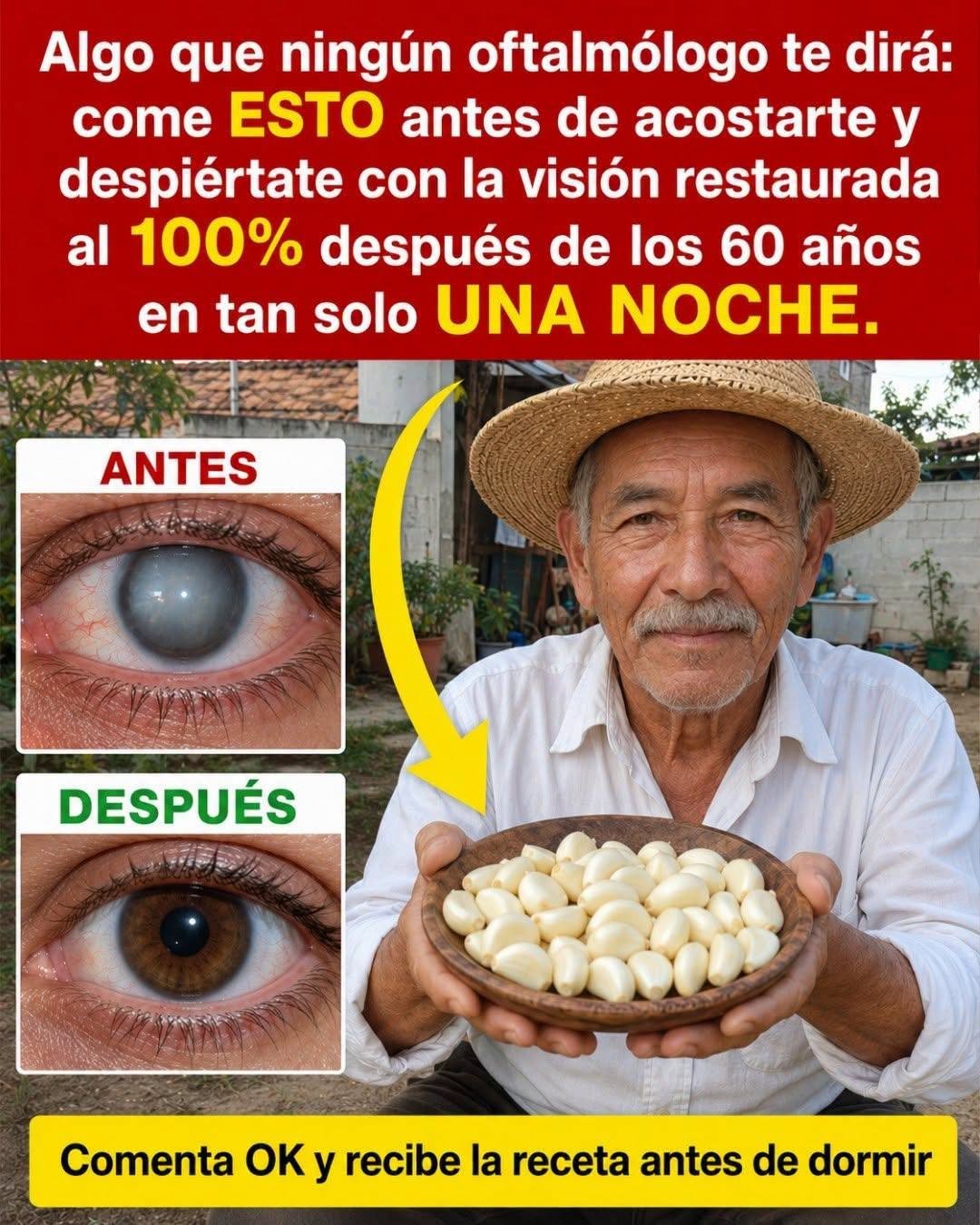 Arándanos como remedio natural para la visión