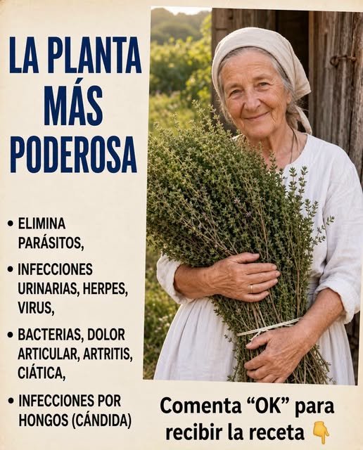 Mujer sosteniendo un manojo de tomillo
