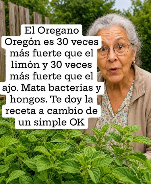 Persona mayor en jardín con orégano