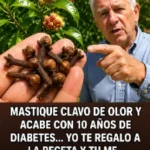 Mastique Clavo de Olor para Mejorar su Salud y Bienestar