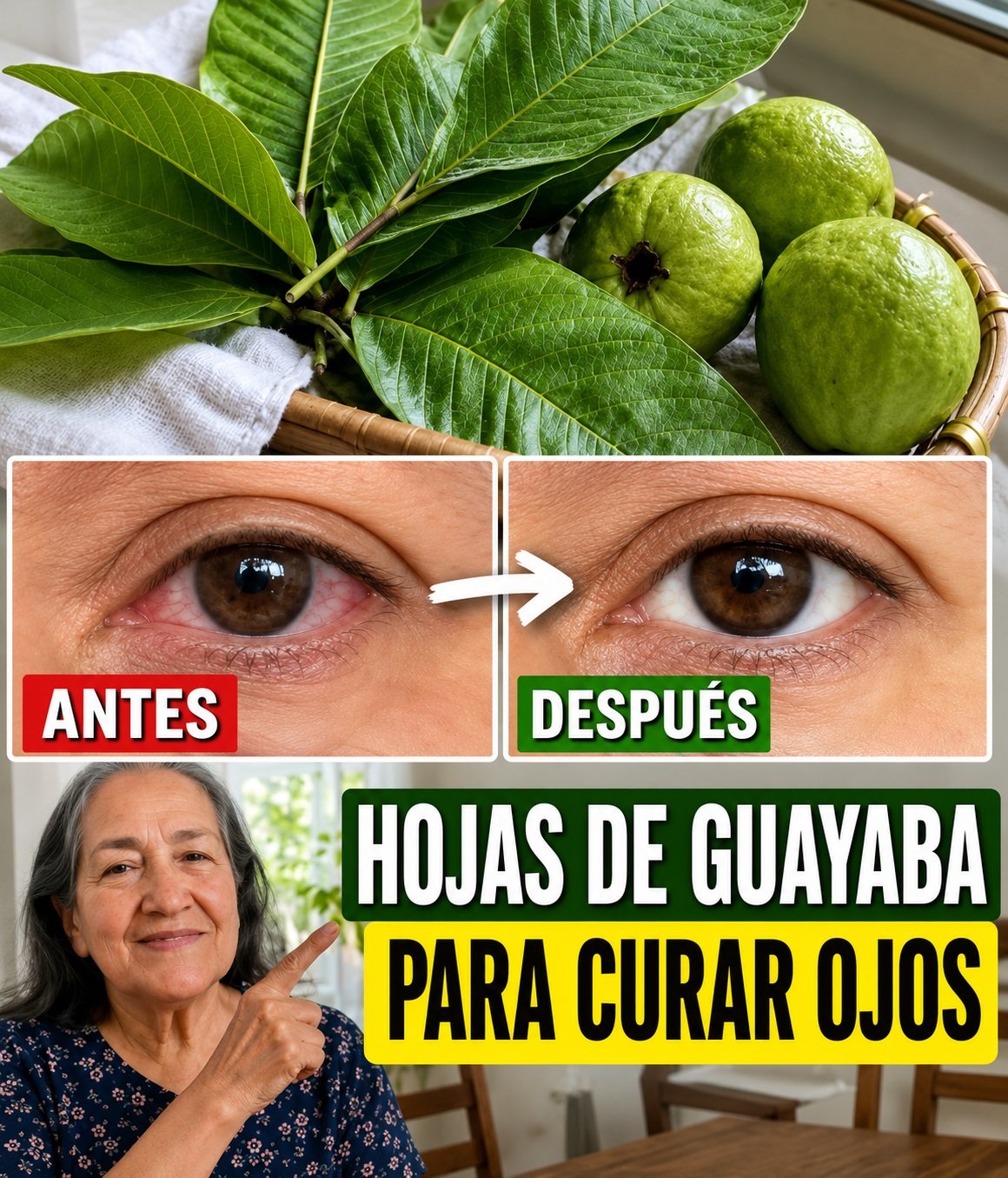 Hojas de guayaba y fruta