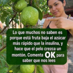 Guayaba el Tesoro Oculto para Restaurar tu Salud