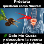 Mejora la Salud de Tu Vejiga y Próstata en Casa con Hábitos Saludables