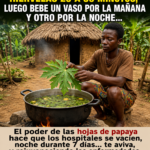 Té de Hojas de Papaya y Sus Usos en la Salud