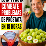 Beneficios de la Alimentación Saludable para la Próstata y Cómo Reducir las Molestias Urinarias
