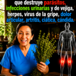 Beneficios y Preparación del Tomillo como Remedio Natural Potente