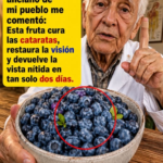 Beneficios de los Arándanos para la Salud Ocular y Deliciosas Recetas Naturales