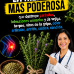 Tomillo la hierba curativa que combate infecciones parásitos y más
