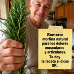 Romero Morfina Natural para Aliviar Dolores Musculares y Artemos Articulares