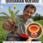 Consejos para el Cuidado Natural de la Vejiga y Próstata en Casa