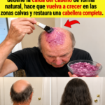 Aceite Casero de Cebolla para el Cabello: Receta Tradicional para Fortalecer la Fibra Capilar
