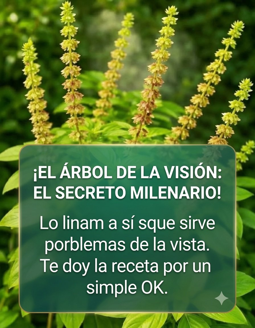 Infusión de Albahaca