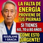 Alimentos para Aumentar la Energía y Potenciar la Fuerza Muscular en Adultos Mayores