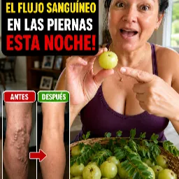 Lúcuma en polvo