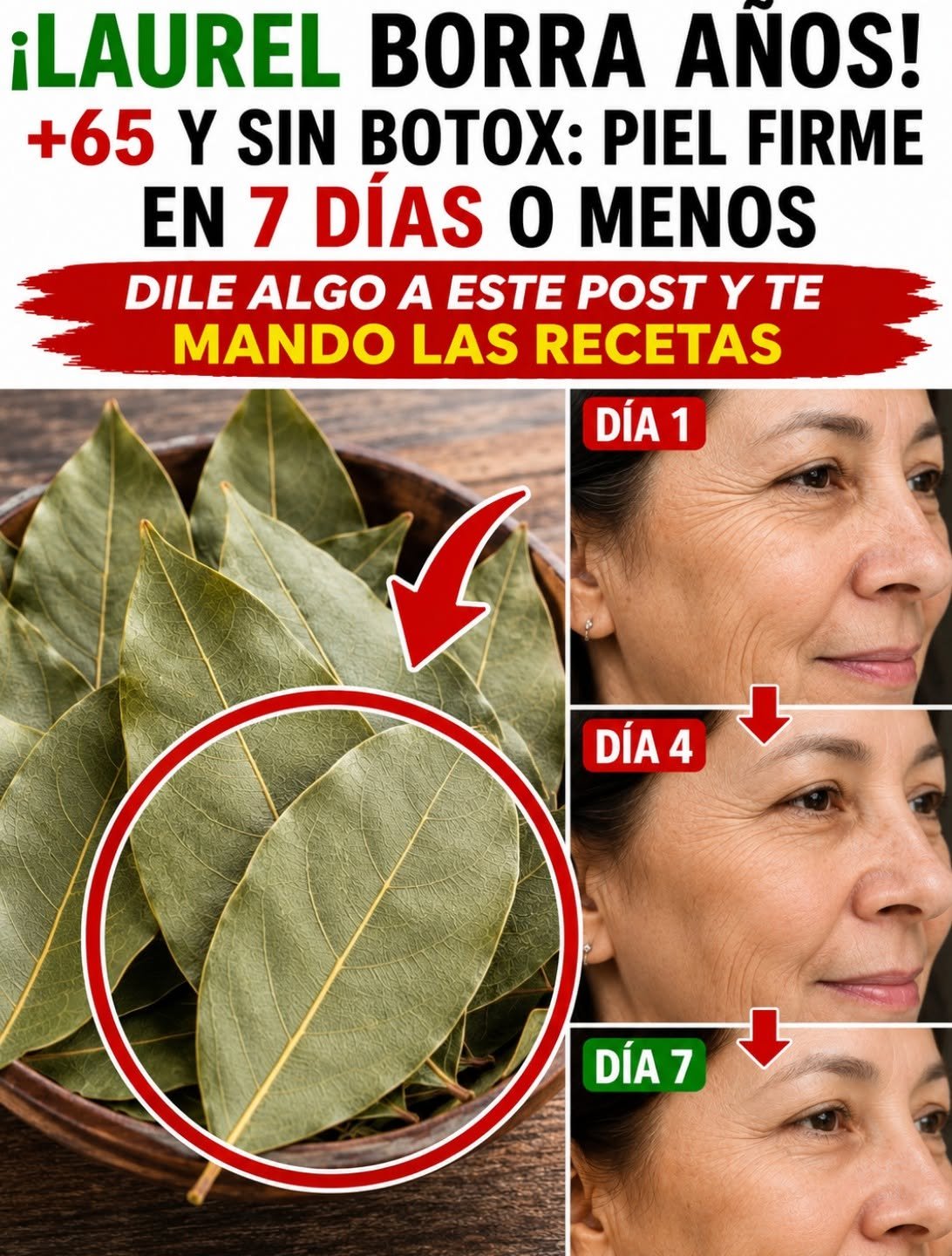 Hojas de Laurel