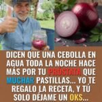 Una cebolla en agua durante la noche revela sorprendentes beneficios