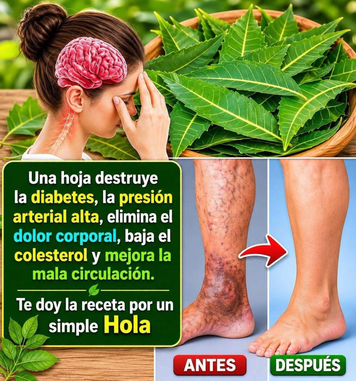 Beneficios de las Hojas de Neem