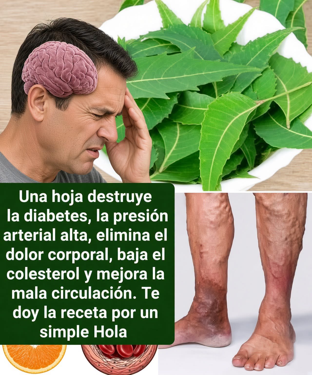 Hojas de Neem