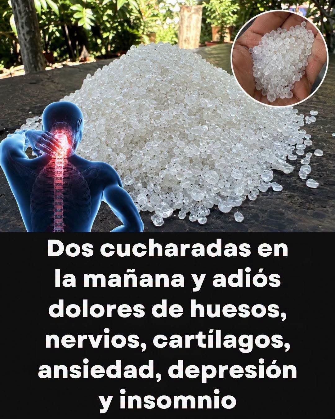 Avena y Chía