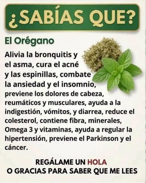 Té de Orégano