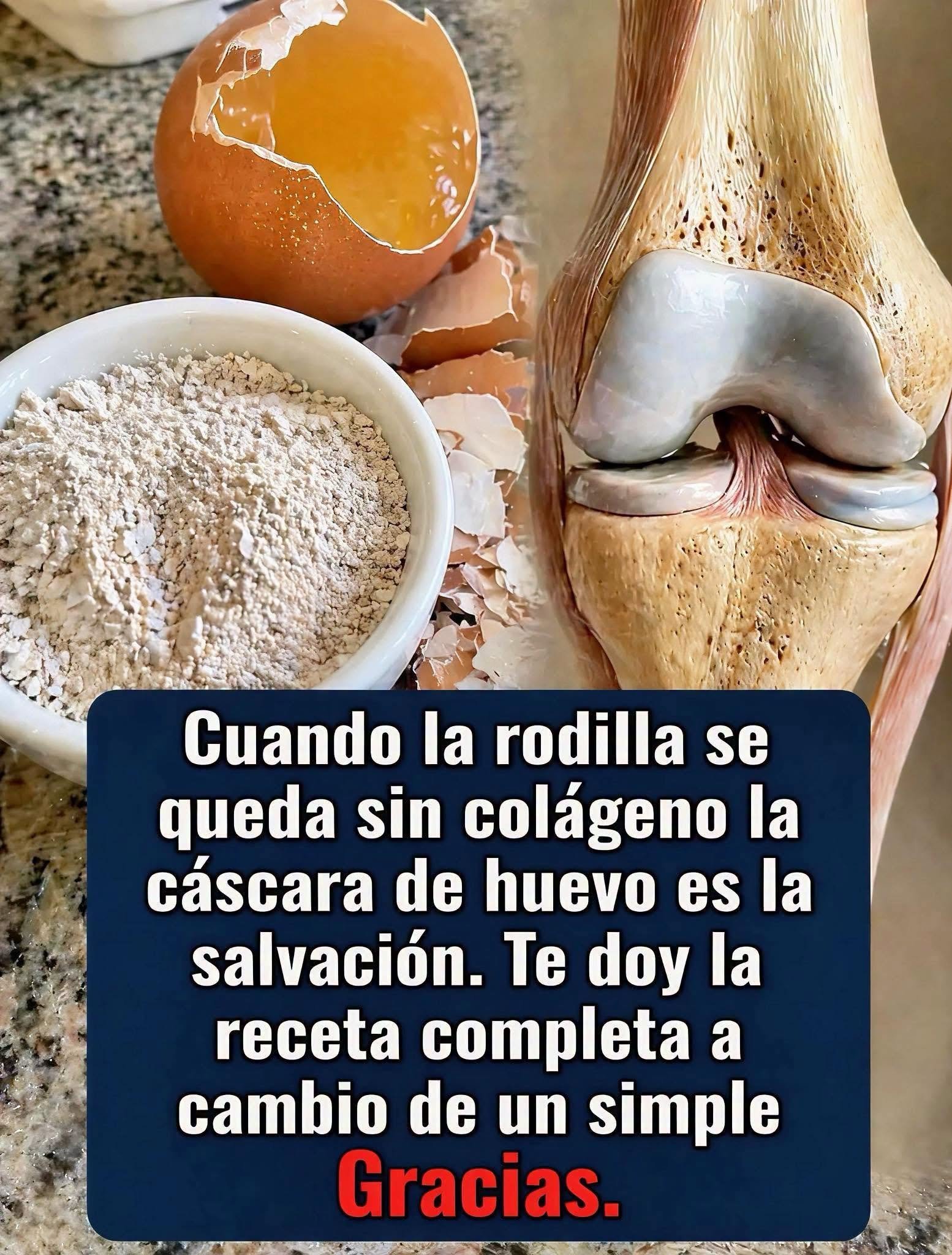 Cáscara de huevo
