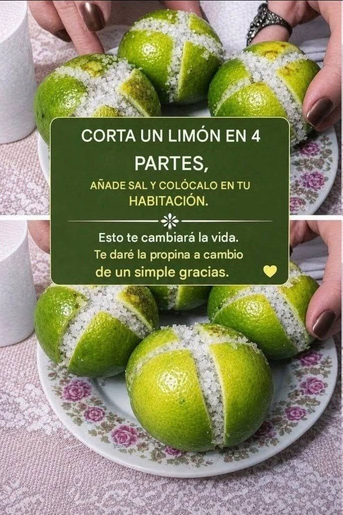 Rodajas de limón con sal