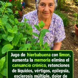 Jugo de Hierbabuena con Limón