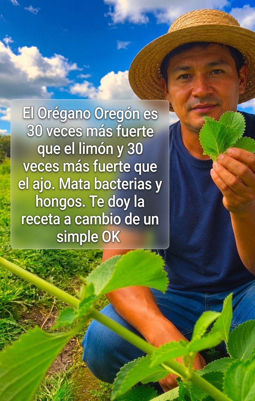 Beneficios del Orégano