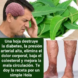 Planta Neem