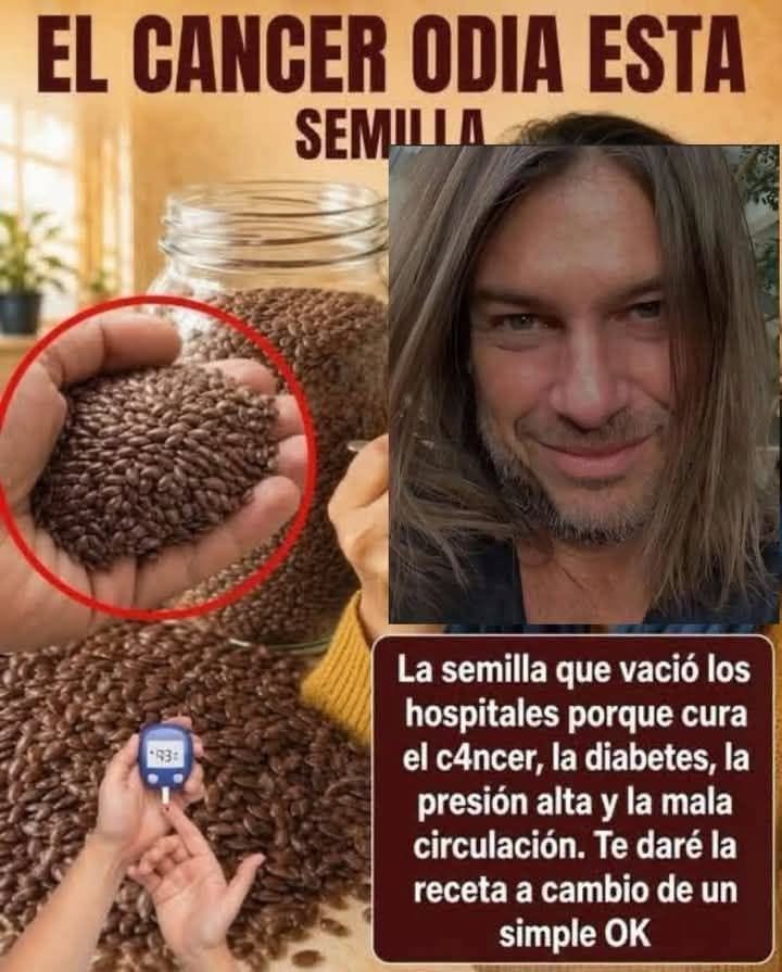 Semillas de linaza