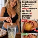 Beneficios del Agua con Ajo para tu Bienestar Diario