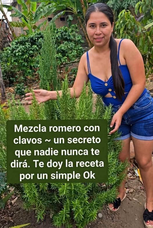 Romero y Clavos