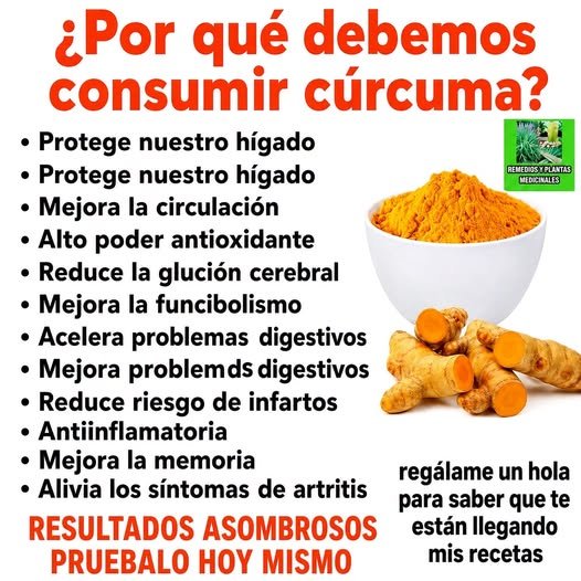 Cúrcuma en polvo y raíz de cúrcuma