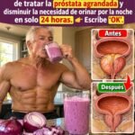 Remedios Naturales para la Salud Visual y la Prostata