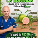 Guayaba Morada Potente Fruta Tropical para Tu Salud y Bienestar
