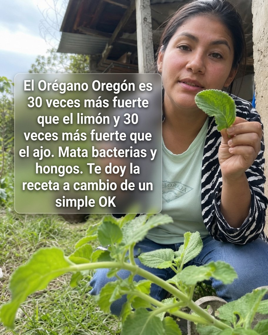 Infusión de Orégano Ajo y Canela